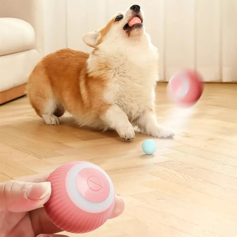 PELOTA INTELIGENTE PARA MASCOTAS   ™ l RECARGABLE